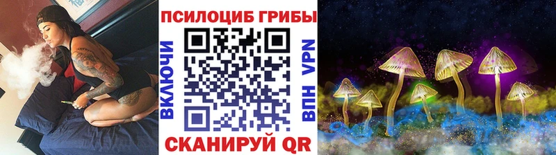 как найти   OMG как войти  Галлюциногенные грибы ЛСД  Реутов 