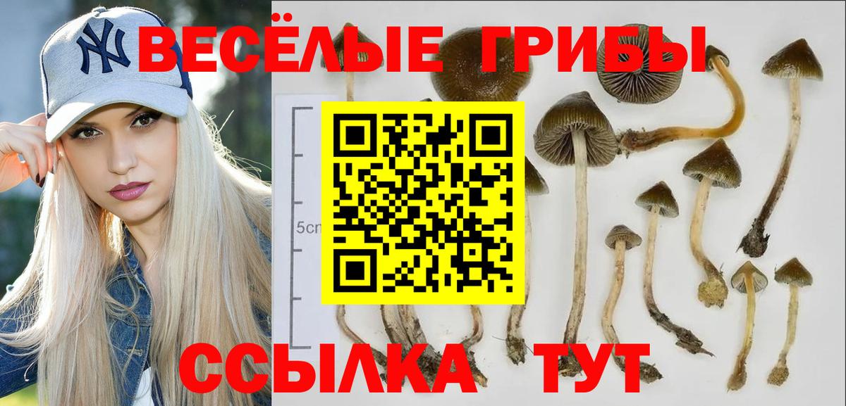 Псилоцибиновые грибы MAGIC MUSHROOMS  Вход с VPN  Псилоцибиновые грибы мицелий  Реутов 